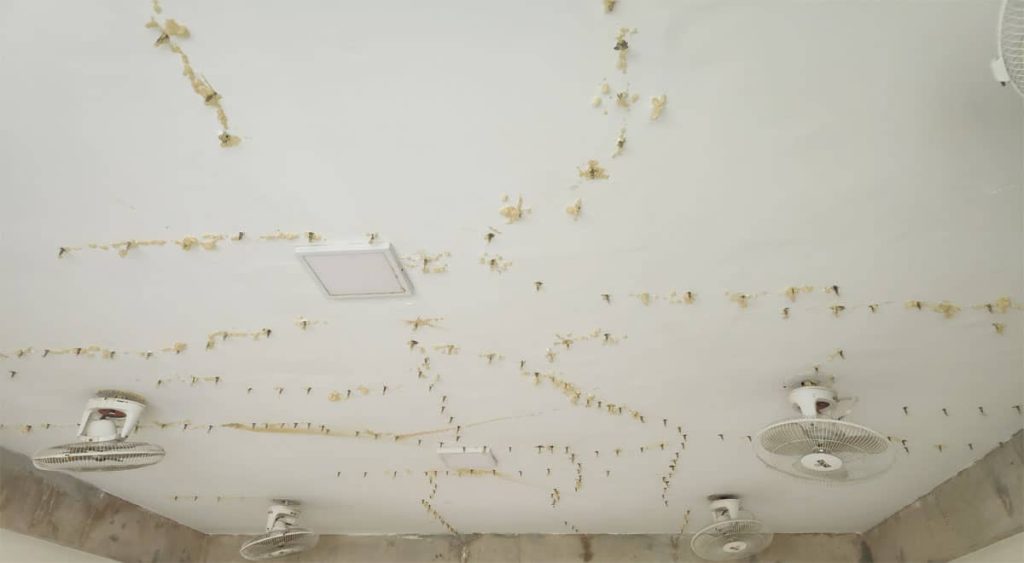 Crack Repairing by PU Injection